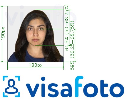 Намунаи акс барои Ҳиндустон Visa 190x190 px тавассути VFSglobal.com бо андозаи дақиқ
